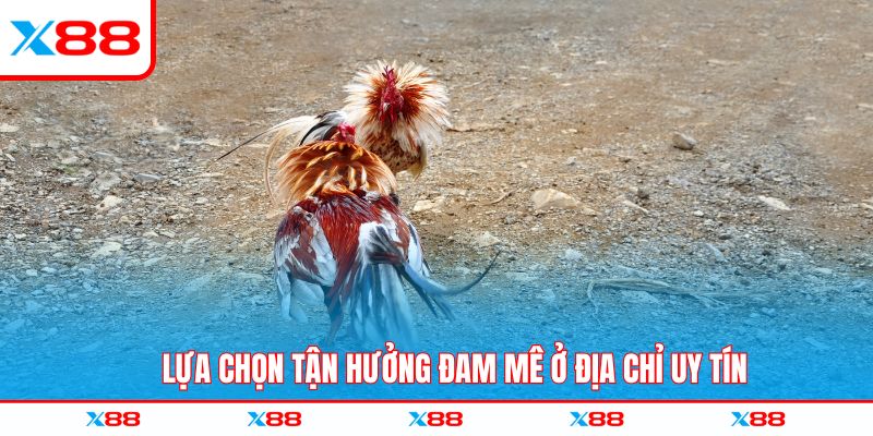 Lựa chọn tận hưởng đam mê ở địa chỉ uy tín